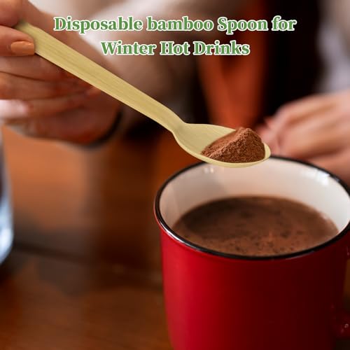 300 Count Disposable Compostable Bamboo Spoons for Party (spoons)