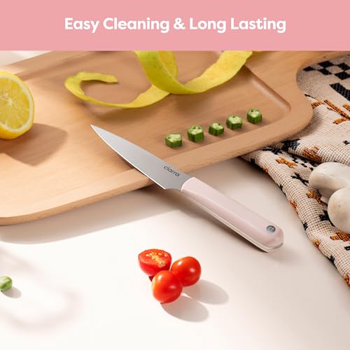 Professional Kitchen Knife Set 4 PCS (Pink)