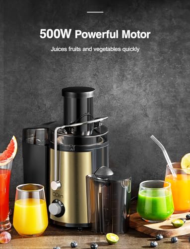 Juicer Machine 800W Centrifugal Juicer with Wide Mouth Feed Chute