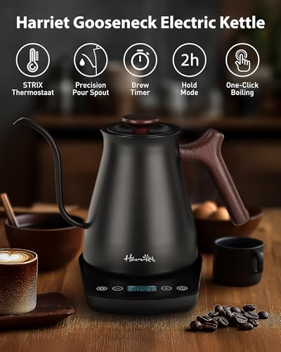 Gooseneck Electric Kettle (Black / 0.8 Quarts)