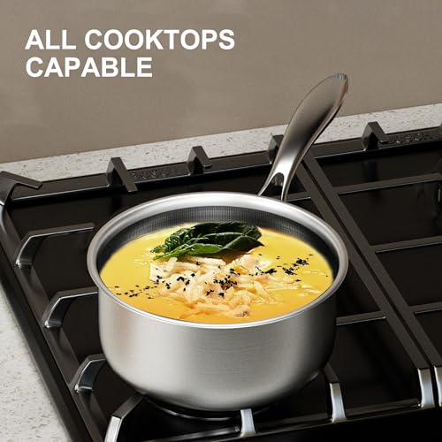 2 Qt Stainless Steel Saucepan (2 Quarts)