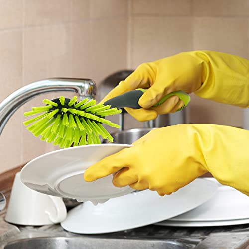 Long Handle Dish Brush (Oblong / Oblong)
