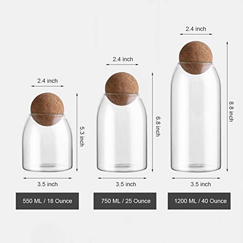 750ML 25Oz Glass Storage Container with Ball Cork (750 ml/25 oz)