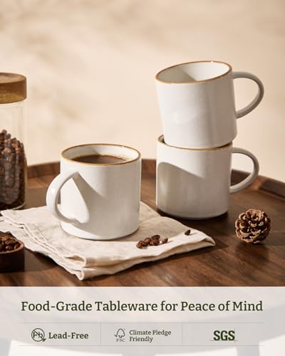 Coffee Mugs Set of 6 (Matte Beige White with Brown Rim / 6pcs)