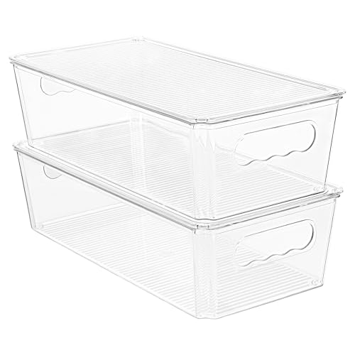 2pcs Clear Stackable Storage Bins with Lids (With Lid)