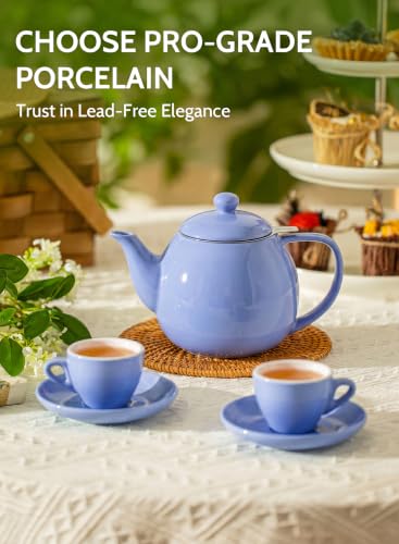 Porcelain Teapot 27 oz with Infuser for Loose Leaf Tea (Dusty Blue / 27oz (with infuser))
