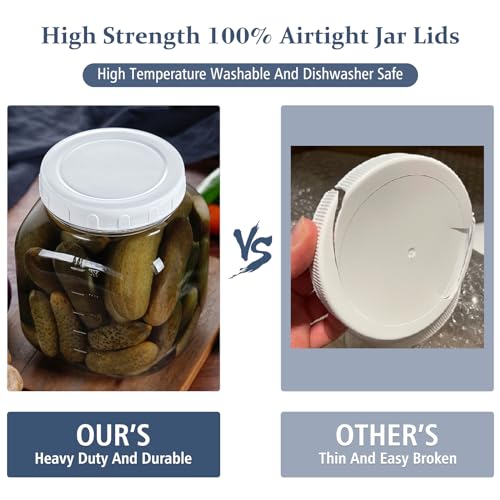 0.8Gal Glass Jar with Lid (0.8 Gallon)