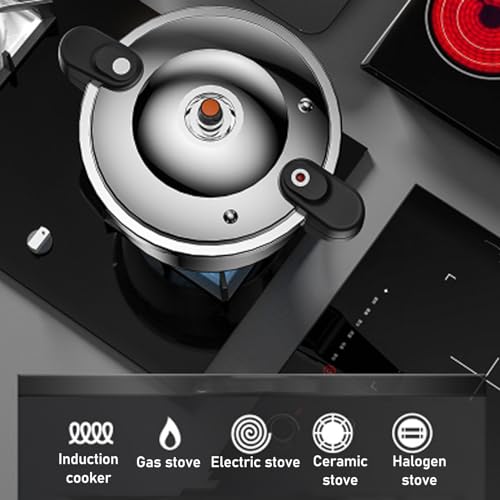 Stainless Steel Pressure Cooker