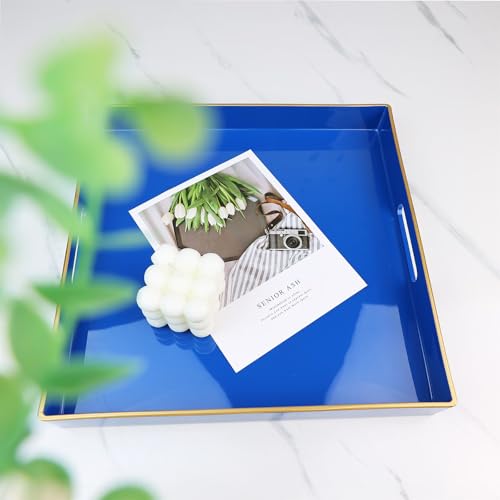 Blue Decorative Tray for Living Room (Bg001r)