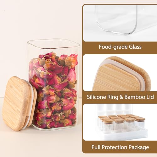 20 Pack 8 oz Square Glass Spice Jars with Lids and Labels (20pcs / 8oz)