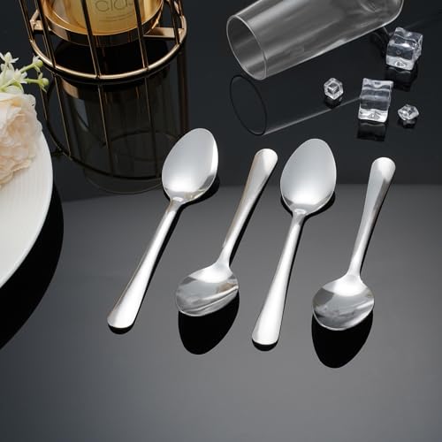 Windsor 36 Pcs Stainless Steel Dinner Spoons (36-piece Dinner Spoon)