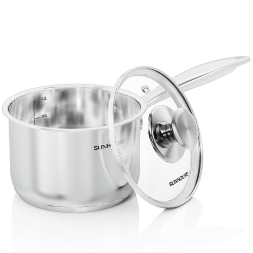 Stainless Steel Saucepan