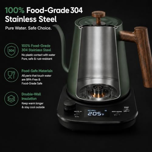 Gooseneck Electric Kettle with Temperature Control (Green)