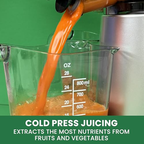 Wide Mouth Juicer Compact Vertical Cold Press Vegetable and Fruit Juice Extractor with 3 (Silver Wide Mouth Vertical)
