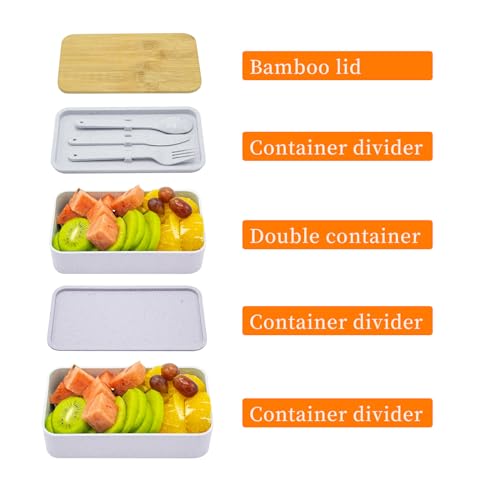 Bento Box Adult Lunch Box with lunch bag