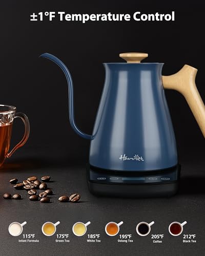 Gooseneck Electric Kettle (Blue / 0.8 Quarts)