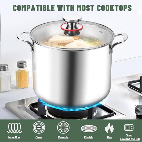 12 Quart 18 10 Stainless Steel Stock Pot with Lid