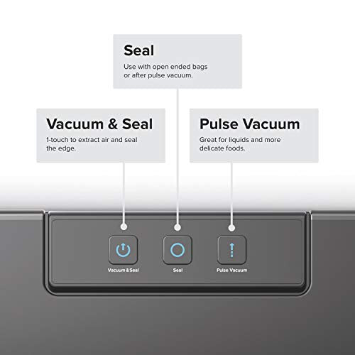 Vacuum Sealer (Includes 10 Precut Bags)