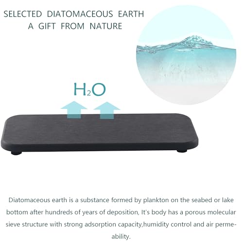 2Pcs Stone Soap Trays Water Absorbing Diatomite Coaster (Dark Gray / 9.0" x 3.9")