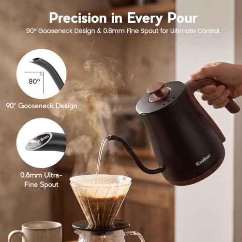 Gooseneck Electric Kettle (Black)