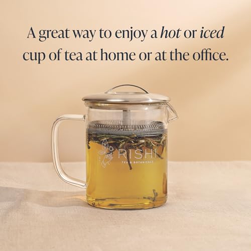 Simple Brew Teapot for Loose Tea (13.5 Fl Oz (Pack of 1))