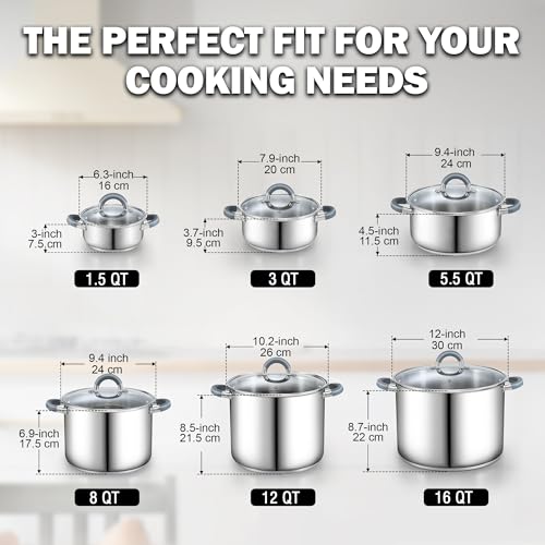 Basics 12 Quart Stainless Steel Stock Pot with Lid (12 Quarts / Gray Silicone Handle)
