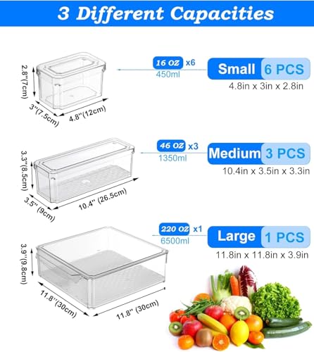 10 Pack Food Storage Organizer Bins (10 Pcs Food Storage Containers)