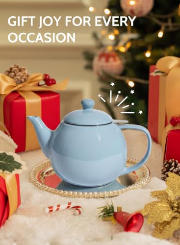 Porcelain Teapot 27 oz with Infuser for Loose Leaf Tea (Bluish Grey / 27oz (with infuser))
