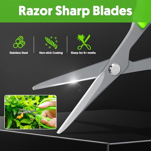 Garden Scissors (Curved Blade)