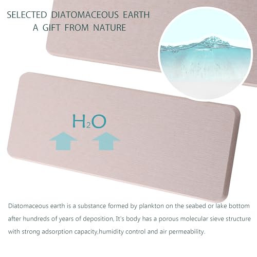 2Pcs Stone Soap Trays Water Absorbing Diatomite Coaster (Pale Gray / 8.7" x 3.2")