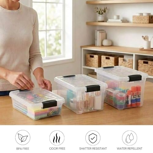 2.3 Quart Clear Plastic Storage Containers with Lids (2.3 Quart)