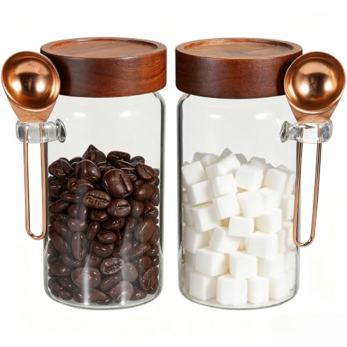 18 oz Glass Spice Jars with Spoons Wooden Airtight Lid Sugar Coffee Ground Canister Round Glass Food Storage Container for Herb Seasoning Cookies Tea Condiment Salt