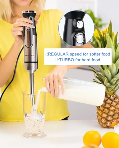 Handblender with Plug (Hand Blender)