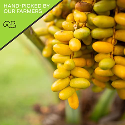 Dried Deglet Noor Dates Pitted (Dried Dates Deglet Noor / 6 oz)