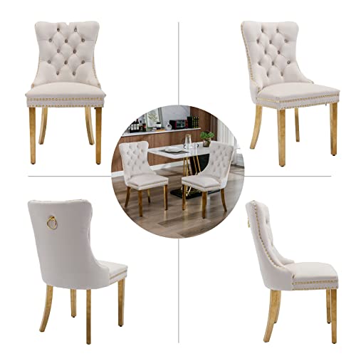 Beige and Gold Velvet Dining Chairs Set of 2 (Classic Beige)
