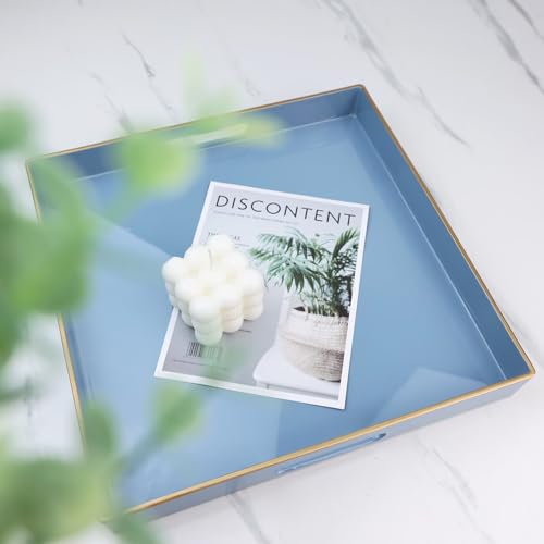 Light Blue Decorative Tray for Living Room (Bs002r)