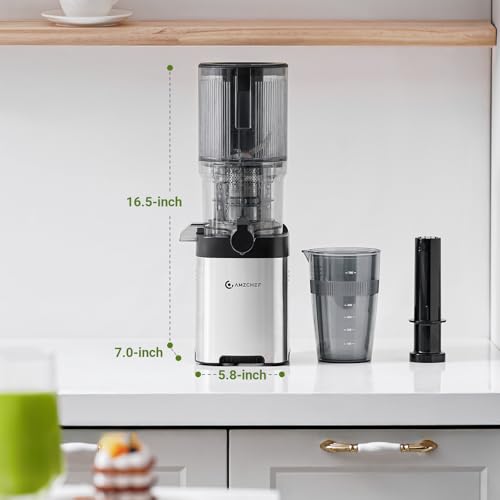 Cold Press Juicer (Silver / 5.4-inch)