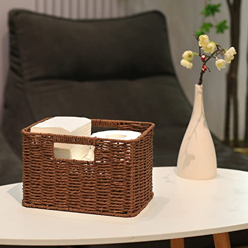Large Woven Baskets for Storage (17 x 12.2 x 7.5 inches / Dark Brown)