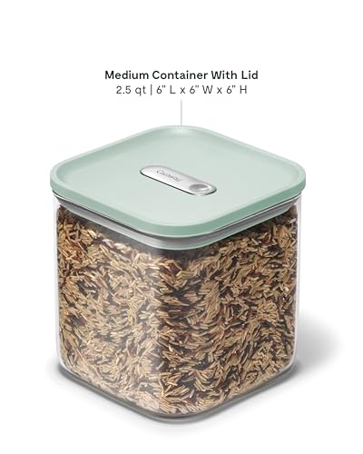 2.5 qt Glass Airtight Food Storage Container with Lid (Mist / 2.5qt Container)