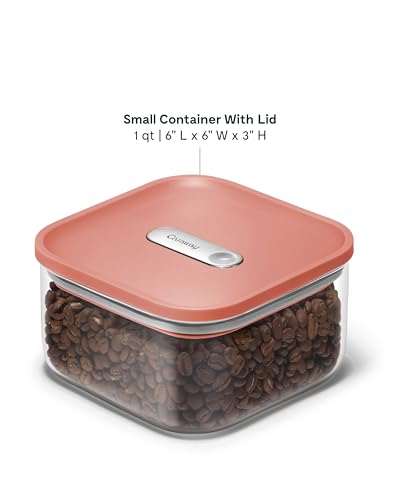 1 qt Glass Airtight Food Storage Container with Lid (Perracotta / 1qt Container)