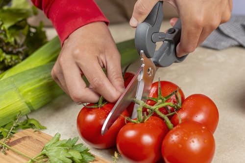 Pro Kitchen Shears Plus (Pro Kitchen Shears Plus)