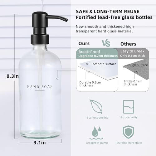 Glass Soap Dispenser (Clear Bottle/Black Pump + Tray + Funnel)