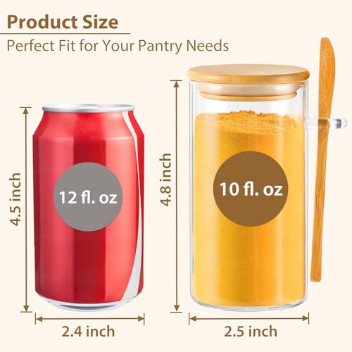 12 Pack 10 oz Round Glass Spice Jars with Lids and Spoons (12pcs-Round / 10oz)