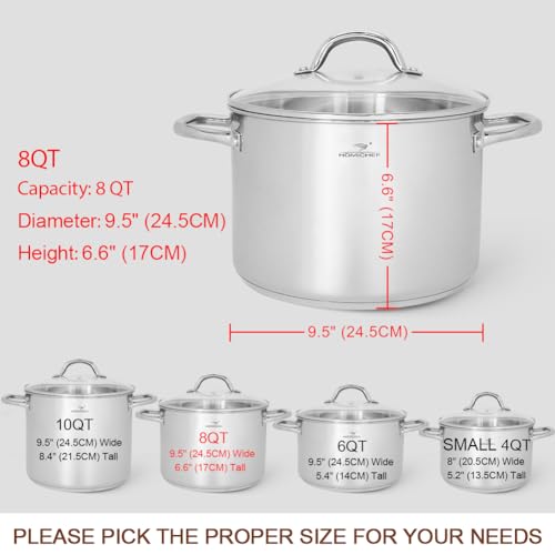 Stock Pot 8 Quart with Lid Nickel Free Stainless Steel (Shiny Silver - Mirror Polished Stainless Steel / 8 Quarts)