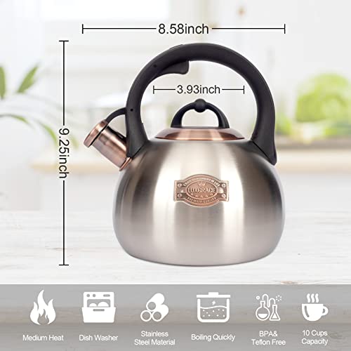 3.1 Quart Teal Whistling Tea Kettle for Stove Top (Silver)