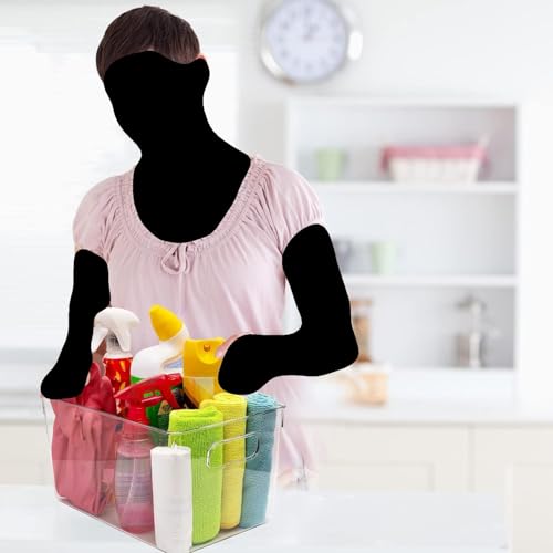 Clear Plastic Storage Bins with Lids (11 X 7.5 X 6)