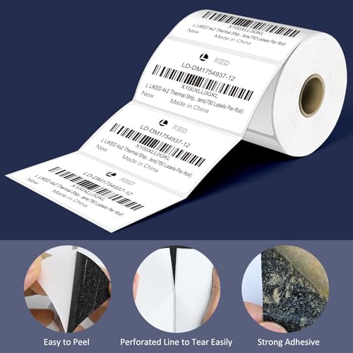 L Liked 4" x 2" Direct Thermal Labels (9000 Count)
