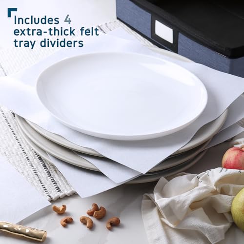 Platter Storage Cases