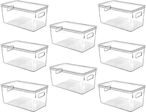 Clear Plastic Storage Bins with Lids (10 X 6 X 5)