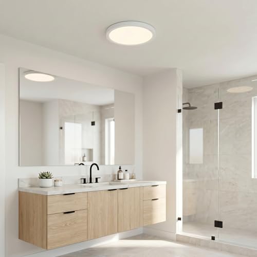 Outskirts 20" Round Flush Mount LE Ceiling Light